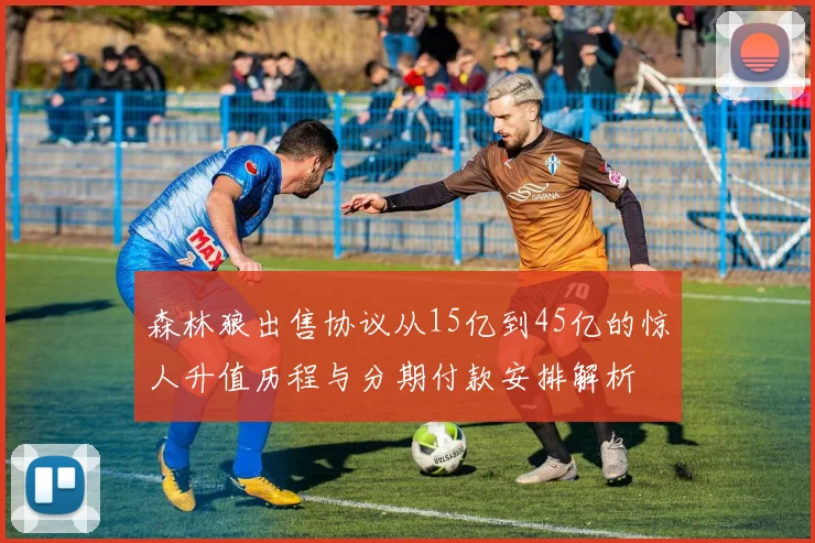 森林狼出售协议从15亿到45亿的惊人升值历程与分期付款安排解析